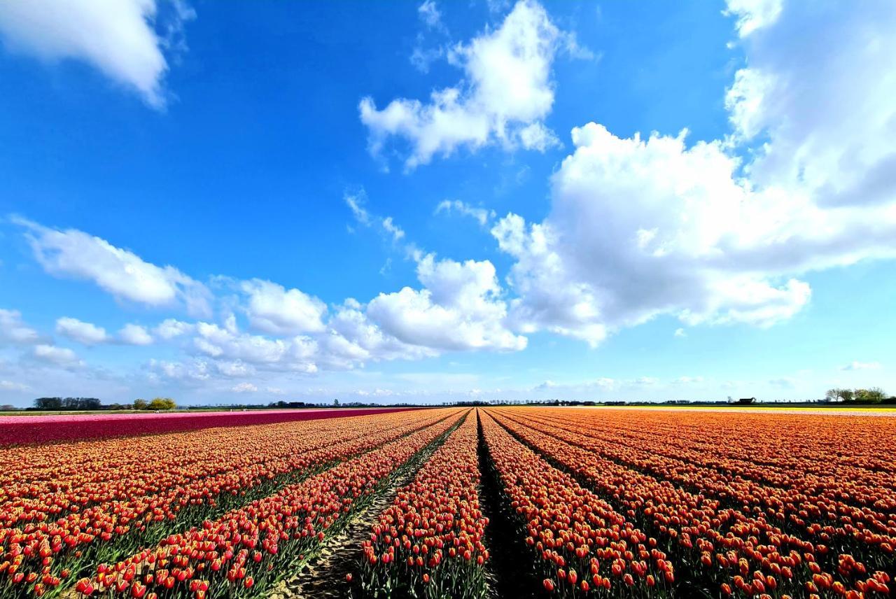 De Corner Van Zeeland Met Jacuzzi Sint Annaland Exteriér fotografie